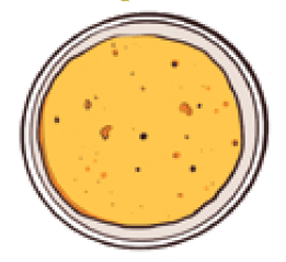 fullroti