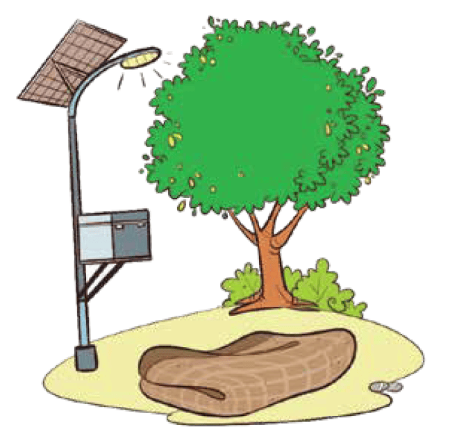 tree