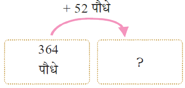 52sapling