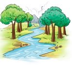 tree river