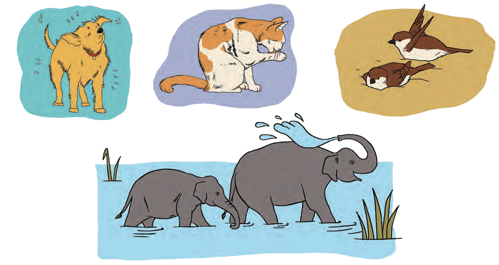 Screenshot 2024-11-19 110018