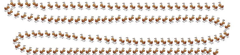 Screenshot 2024-09-26 164315