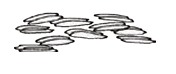Screenshot 2025-05-06 112805