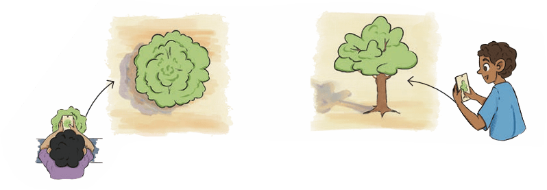 boy-tree