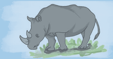 Rhinoceros