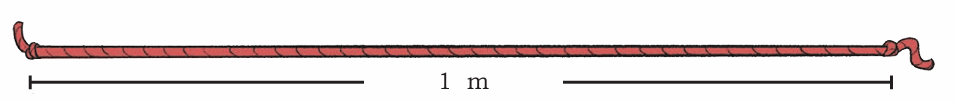 1m