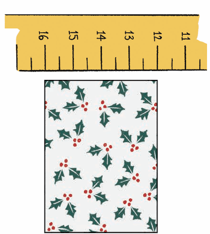 scale measure1