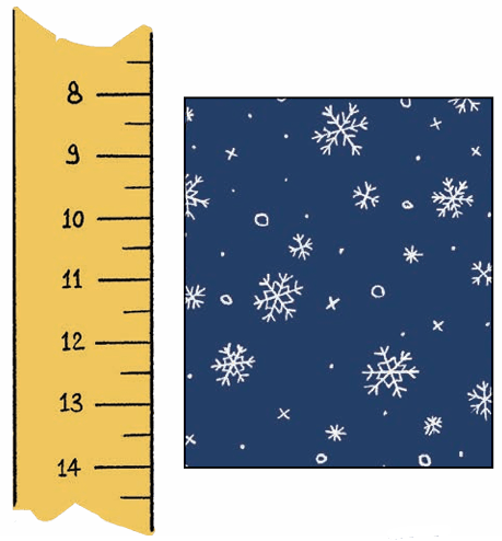 scale measure2