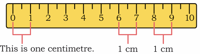 scale