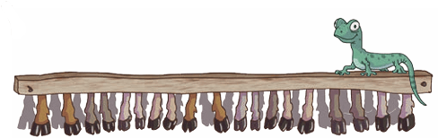 cow legs