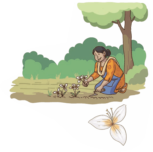 gulabo's garden