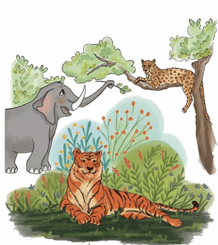 animals