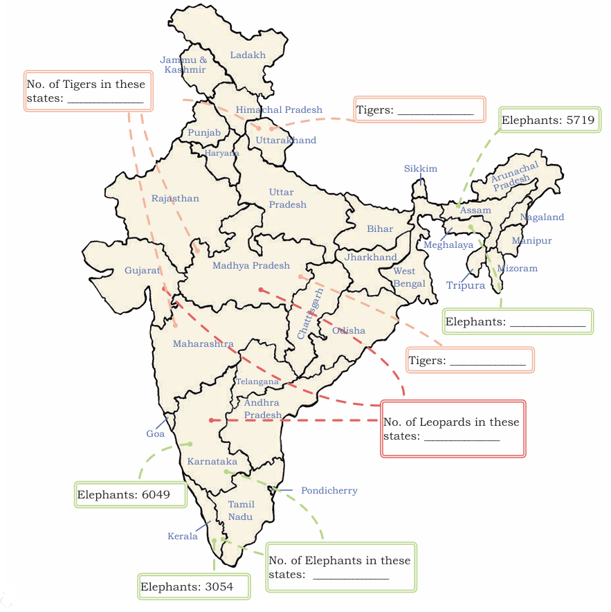 india map