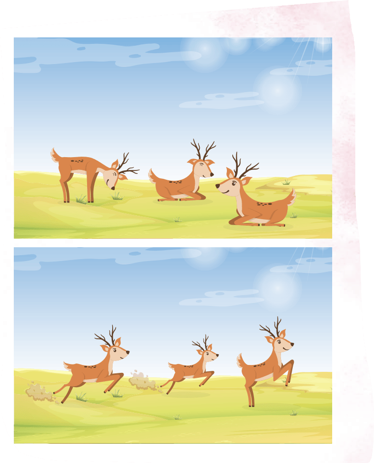 image33