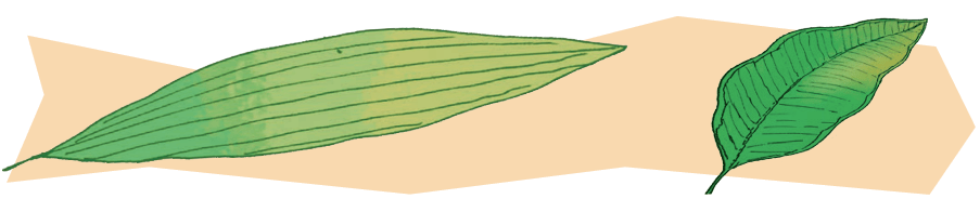 img25