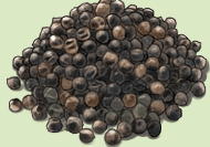 pepper