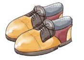 a pair of shoes