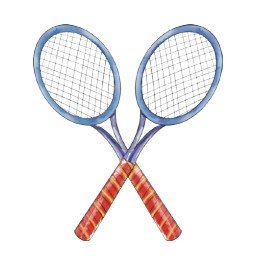 a pair of badminton
