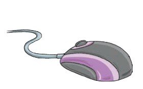 Mouse