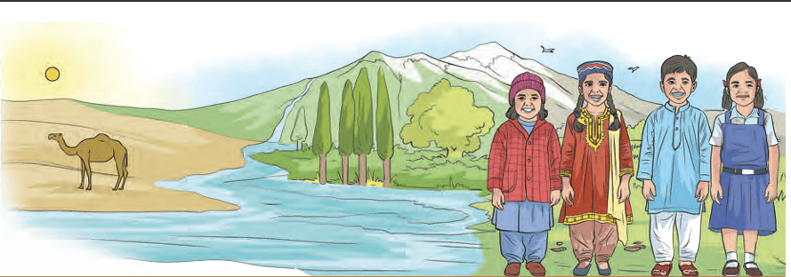 Landscape Illustration