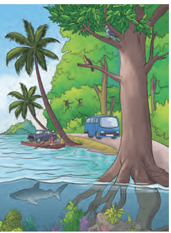 Tree with large roots near water