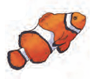 Clownfish
