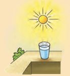 Cup in the sun