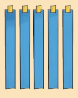 Vertical blue strips