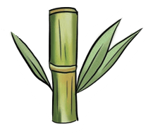 Bamboo