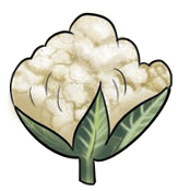 Cotton