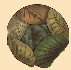 Finished leaf plate