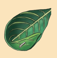 Single leaf with a twig pin