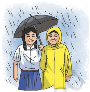 Monsoon season
