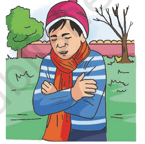 Winter season