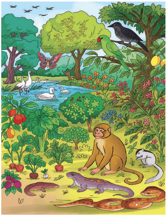 Illustration of diverse animals and plants