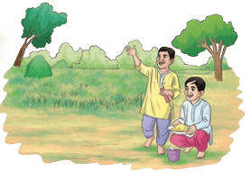 Playing with colors during Holi
