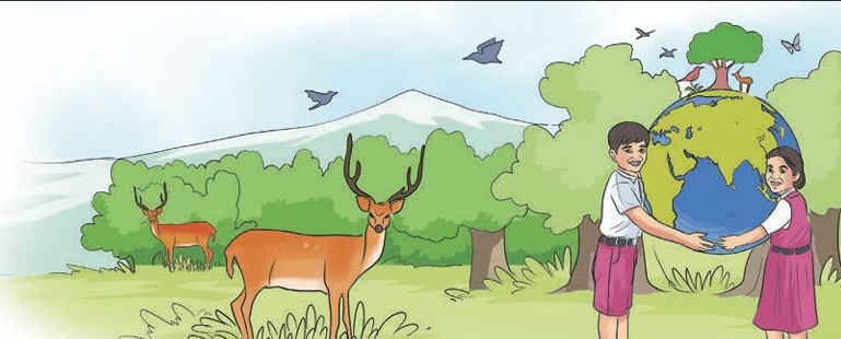 Nature Illustration