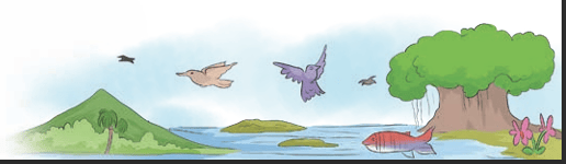 Nature Footer