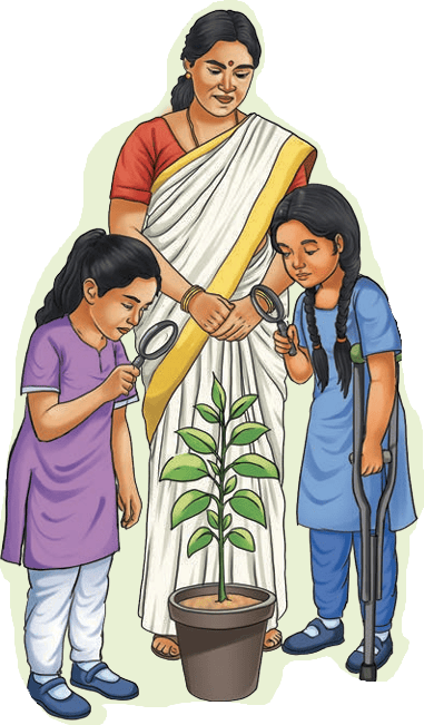 Students and teacher observing a potted plant