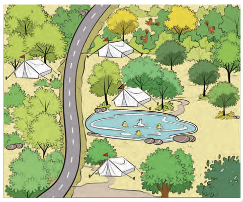Bird camp map with tents