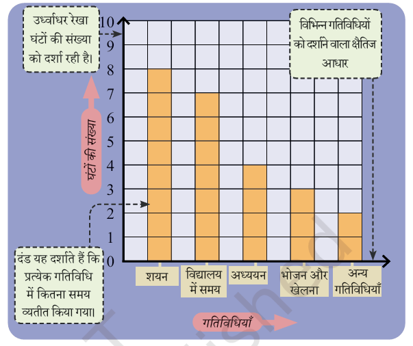 Bar graph showing Sheela's daily routine