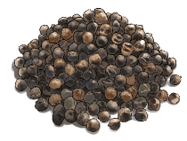 black_mirch