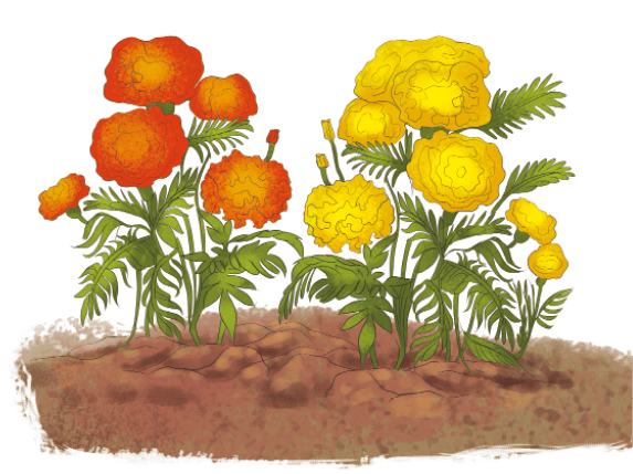 earth_our_shared_home_page10