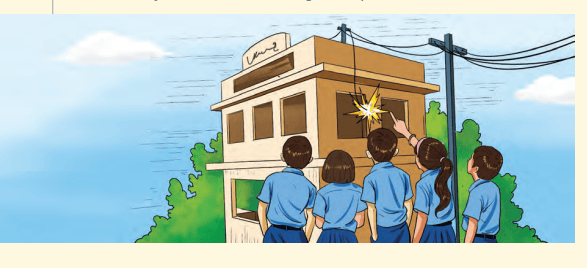 fir14