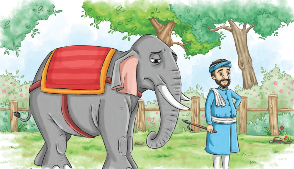 elephant