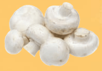 img15