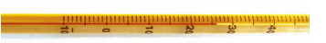 t16