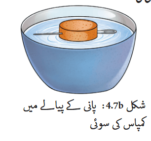 Screenshot 2025-10-31 at 11-16-32 fucu104.pdf