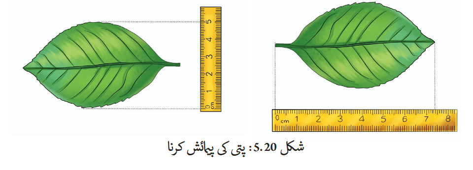 Screenshot 2025-10-31 at 14-09-01 fucu105.pdf