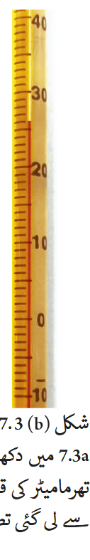 Screenshot 2025-11-03 at 14-23-19 fucu107.pdf